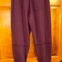 Sweaty Betty  Burgundy Revive Relaxed Joggers Size CS-EUC Photo 0