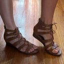 American Eagle  Gladiator Sandals Photo 4