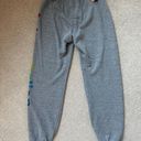 Aviator Nation Sweatpants Photo 1