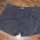 The North Face  charcoal gorpcore outdoorsy 12 long shorts Photo 0