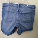 Gap Denim Shorts Photo 2