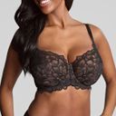 Panache Allure Full Cup Bra Black Lace 32F 32DDD New Photo 1