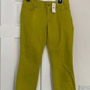 The Loft NWT Anny Taylor modern crop pants in bright green. Photo 0