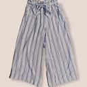 American Eagle Striped Wide Leg Paperbag Pants Photo 0