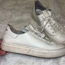 Sam Edelman Sam Eddleman Leather Poppy Sneaker Size 6 White Shoe Photo 4