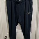 Nike Women’s  Jogger Sweatpants Mid Rise Black Gold Logo Plus Size 3X NWT Photo 0