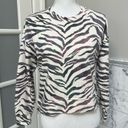 Rails  Marlow Tiger Stripe Pullover Sweatshirt XS Photo 1