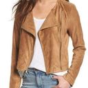 BB Dakota Suede Moto Jacket. Size: Small Color: Brown Photo 0