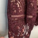 BB Dakota  Burgundy Aria Lace Short Sleeve Fit & Flare Party Dress W-723 Sz 4 Photo 5