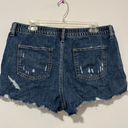 Aerie Denim Shorts Photo 1