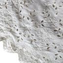 Free People  || Lace Ivory Shorts Natural Cotton Gauzy Size 4 Cream Cottagecore Photo 4