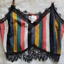 Line and Dot Stripe Lace Crop Top Photo 1