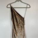 Michelle Mason NWT  Silk Maxi Dress With Back Cowl Velvet Neutral Tan Size 0 Photo 3