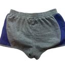 Aviator Nation Gray & Purple Sweat Shorts Photo 1