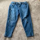 Lane Bryant  Boyfriend Jeans SIZE 20 Photo 0