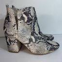 Steve Madden Boots Womens 7.5M Rockstar Ankle Bootie Gray Faux Leather Snakeskin Photo 7