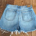 American Eagle Outfitters Shorts Photo 1