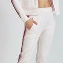 Petal Bandier X Twenty Olympic Mesh Track Pants  Pink Stripe Womens Size Medium Photo 4