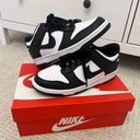 Nike Panda Dunks Photo 1