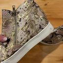 Soda  Snakeskin Platform Sneakers Photo 4