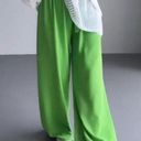 American Eagle  XL Green Wide Leg Pants Photo 0