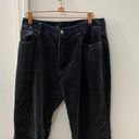 Ralph Lauren Polo Velvet Navy Blue Pants Photo 3