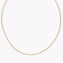 Madewell New Delicate Collection Demi-Fine Paperclip Chain Photo 1