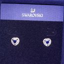 Swavorski  Crystal Earrings Photo 0