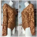 Iris  Brown Tan Velvet Filigree Applique Mesh Semi Sheer Bodysuit Top Size 2X Photo 3