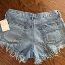 Free People Shorts Photo 3