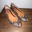 indigo. by Clarks Snakeskin Print Kitten Heel Shoes Photo 1