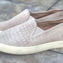 Joie  Huxley Croc Embossed Suede Sneakers Sz 7.5 Photo 0