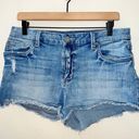 sts blue Light Wash Denim High Rise Cut Off Jean Shorts Photo 0