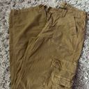 American Eagle Outfitters Cargo Pants Photo 2