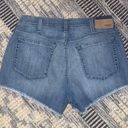 Ariat NWOT  boyfriend denim jean shorts Photo 1