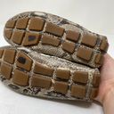 Cole Haan  Womens Size 7 Shelby Snakeskin Print Leather Moccasin Loafer Photo 5