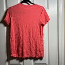 Felina  Coral Pink V neck short sleeve top womens medium m modal cotton Photo 1