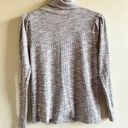 Loft  ANN TAYLOR Stonecold Ribbed Knit Top Womens Size M Turtleneck‎ Photo 0