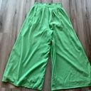 American Eagle  XL Green Wide Leg Pants Photo 6