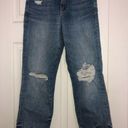 Pilcro  by Anthropologie the vintage straight jean women’s size‎ 27P petite Photo 10