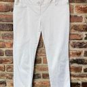 The Limited  Khaki Beige Slim Drew Fit Crop Chino Pants Women's Size 2 Photo 0