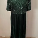 Roolee plus size velvet dress Photo 1