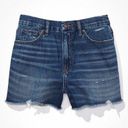 American Eagle Curvy High Waisted Shorts Photo 0