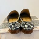 Jack Rogers  Delaney Snake Print Women's Slip-On Mules size 6.5 Photo 4