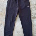 Dickies Mapleton Oversized Sweatpants Photo 0