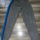 Aviator Nation Heather Grey Blue Gradient 5 Stripe Sweatpants Photo 1