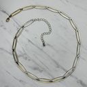 The Bar Skinny Silver and Gold Tone Metal Chain Link Belt Size Large L XL Photo 1