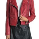 Walter Baker Luxury Leather Jacket  Photo 1