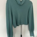 Aritzia turtleneck sweater Photo 1