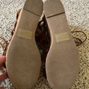 Charlotte Russe  Gladiator Wedge Heels Photo 3